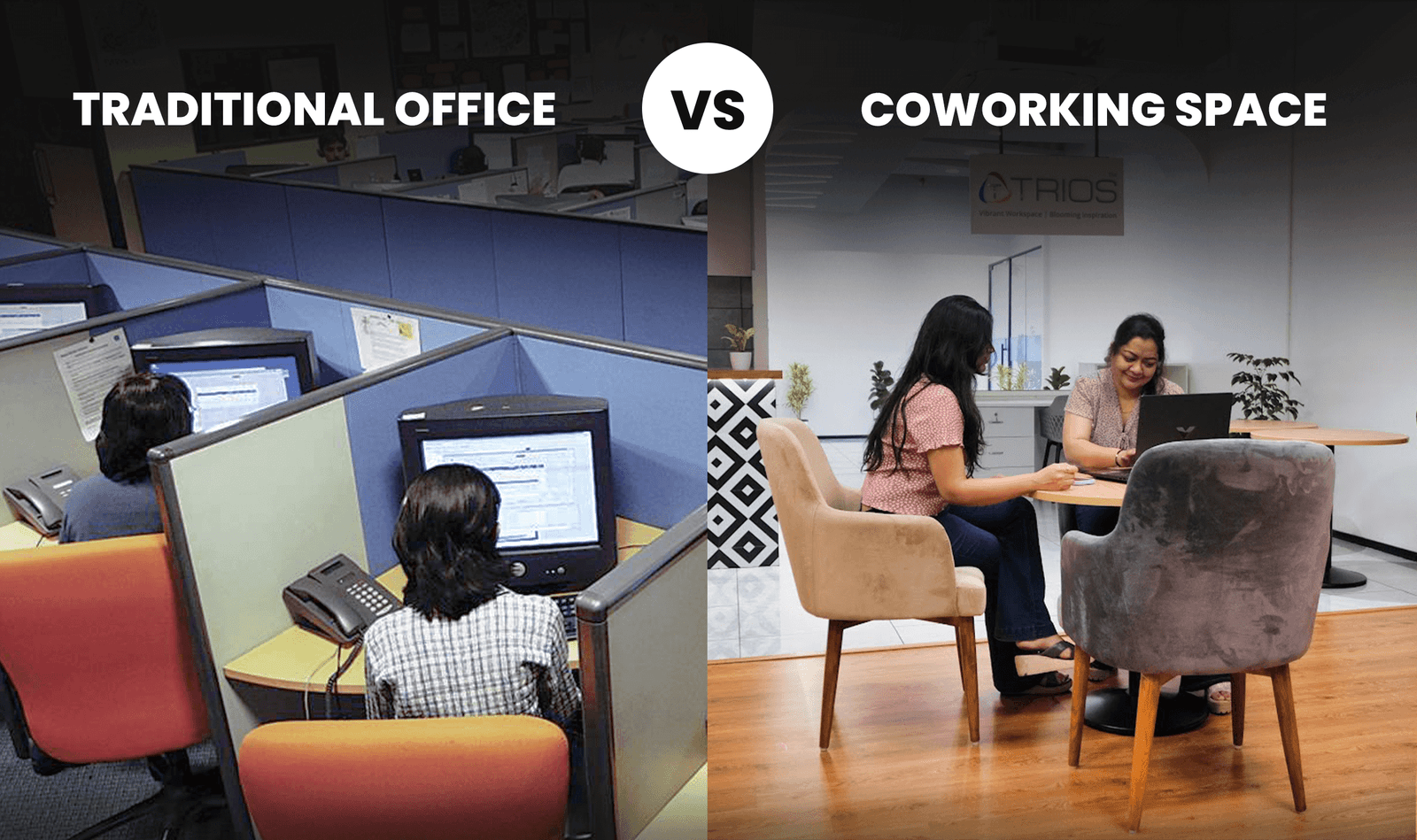 Coworking vs Traditional Office - Which is Better for Your Business